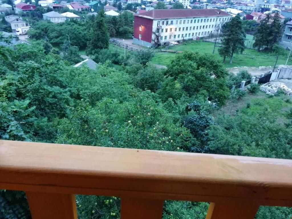Виллы деревянный котеж The 1 с выдом на город Батуми
